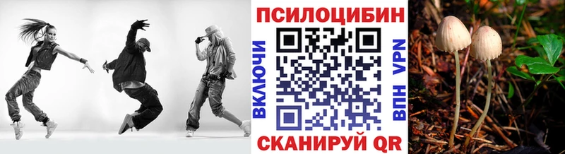 дарк нет официальный сайт  Владимир  Галлюциногенные грибы мухоморы  МЕГА как зайти 
